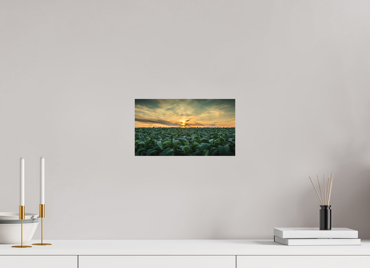 12 x 6.8″, Metal | Matte Finish Tobacco at Sunset