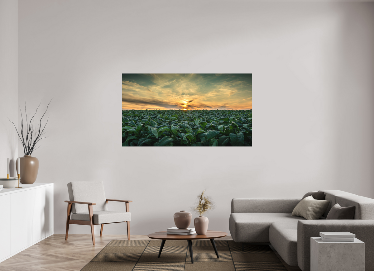 70 x 39.4″, Metal | Matte Finish Tobacco at Sunset