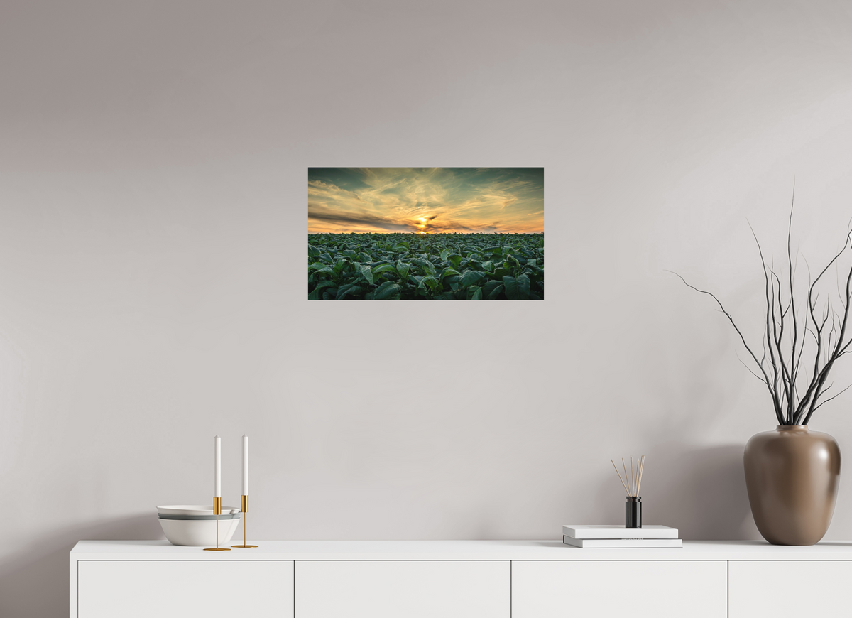 24 x 13.5″, Metal | Matte Finish Tobacco at Sunset