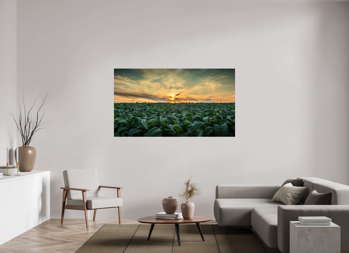 70 x 39.4″, Metal | Glossy Finish Tobacco at Sunset