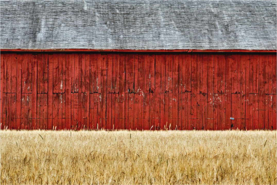 Main image Thrall Barn | Full Frame