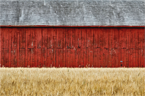 Main image Thrall Barn | Full Frame