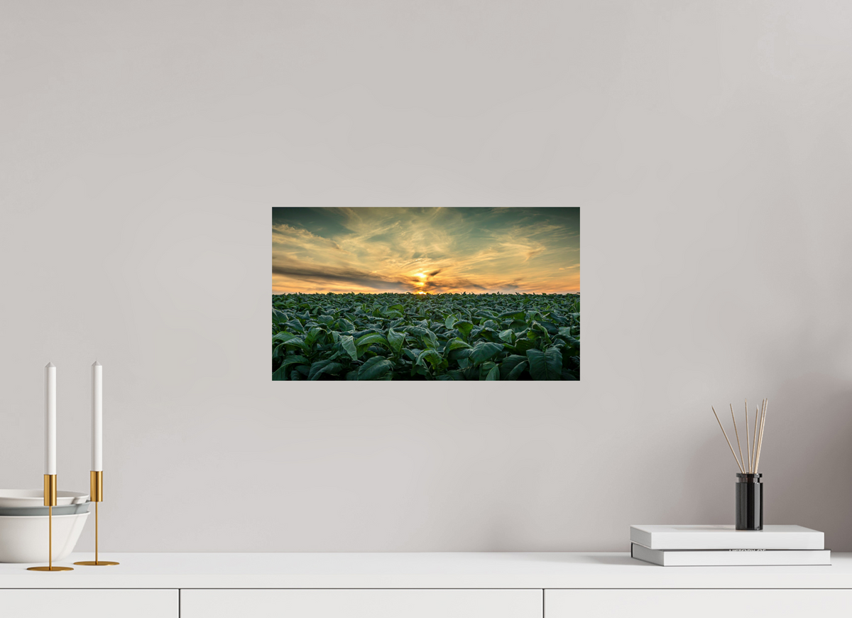 16 x 9″, Metal | Glossy Finish Tobacco at Sunset