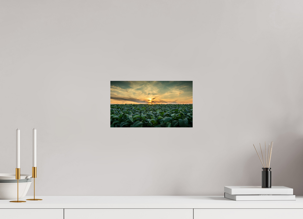 12 x 6.8″, Metal | Glossy Finish Tobacco at Sunset