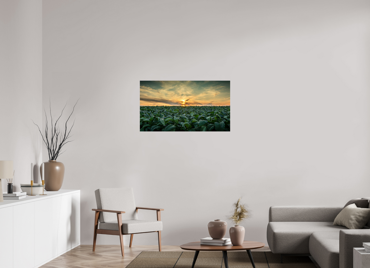 40 x 22.5″, Metal | Glossy Finish Tobacco at Sunset