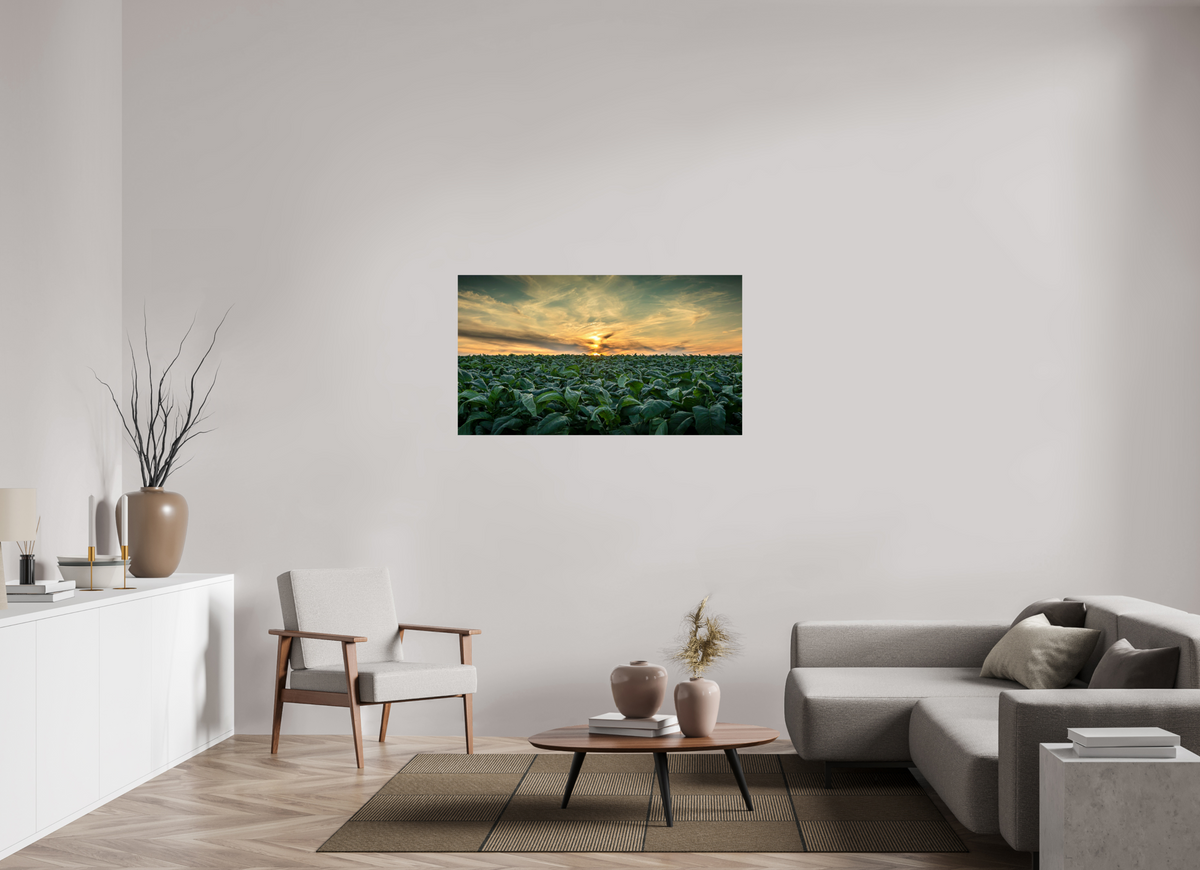 49 x 27.6″, Metal | Glossy Finish Tobacco at Sunset