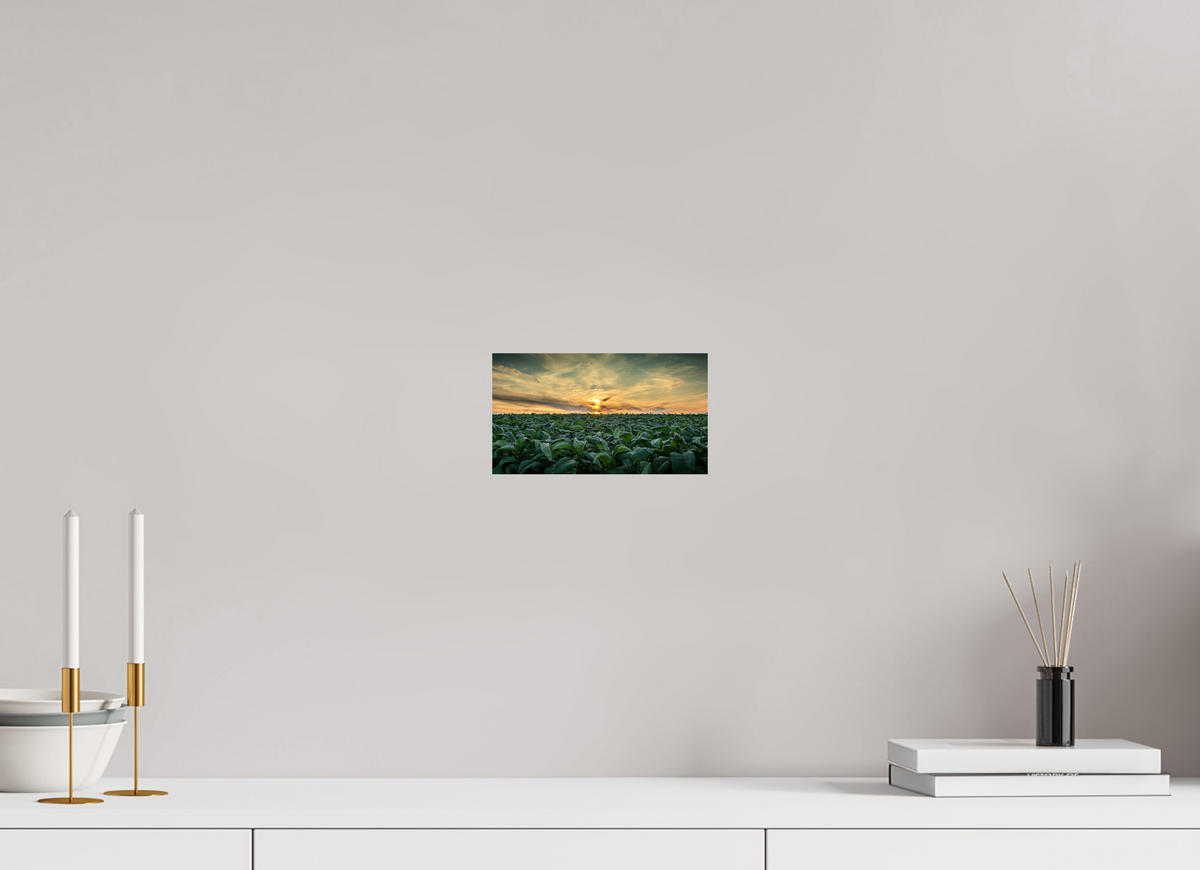8 x 4.5″, Metal | Glossy Finish Tobacco at Sunset