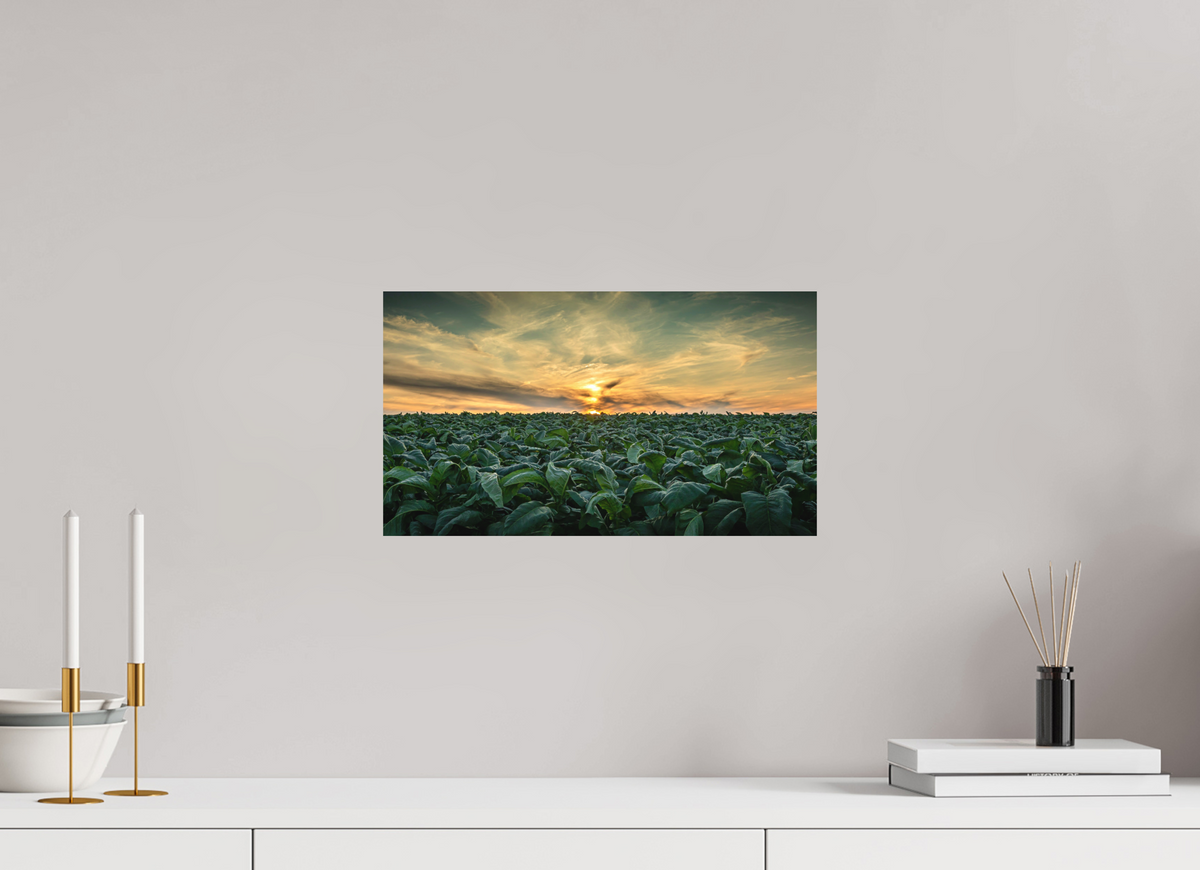 16 x 9″, Metal | Matte Finish Tobacco at Sunset